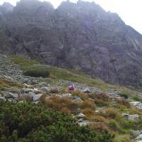 , Janek