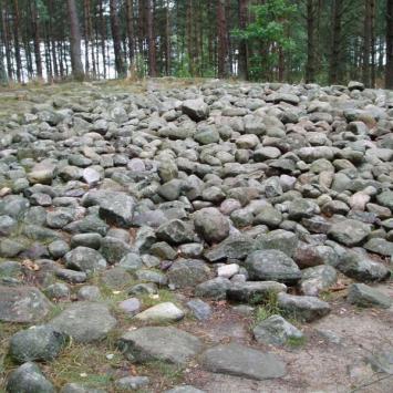 Kamienne kręgi w Węsiorach, Danusia