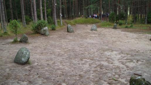 Kamienne kręgi w Węsiorach, Danusia