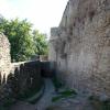 , Darek