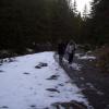 , Janek