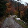 w drodze do Kamienicu, Mariusz G