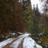 , Mariusz G