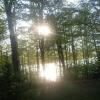 za drzewami Solina, Katarzyna K
