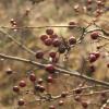 na szlaku, Katarzyna K