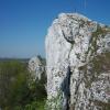 Grochowiec, ivona
