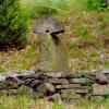 z Magurki, xxxxx