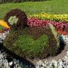 maly park, xxxxx