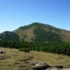 Wielki Krywań (1709 m n.p.n.), najwyższy szczyt Małej Fatry, Teresa Nowak
