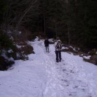 , Janek