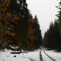, Mariusz G