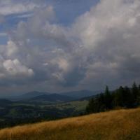 , Katarzyna K