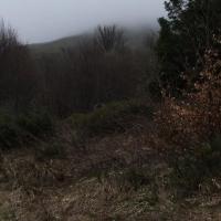 im wyżej tym bardziej widocznośc ograniczona, Katarzyna K