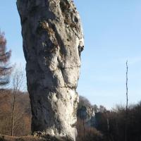 , Katarzyna K