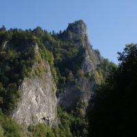 , Piotr Kuzia