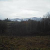 , Piotr Galas
