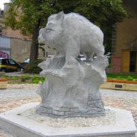 Kielce, xxxxx