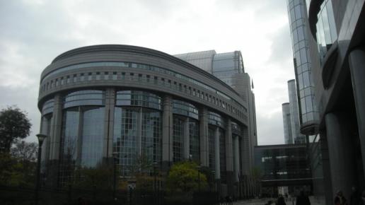 Bruksela-Europarlament, Małgorzata Bednarczyk