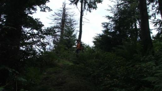, Katarzyna K