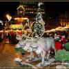 Wrocław - Krasnalowa kraina na wrocławskim rynku, Andrzej Mas