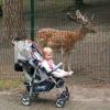 ZOO w Oliwie - a tu co to takiego.., Tadeusz Walkowicz
