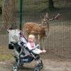 ZOO w Oliwie - co tam widzisz.., Tadeusz Walkowicz