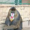 ZOO w Oliwie, Tadeusz Walkowicz