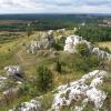 Jura lato, Tadeusz Walkowicz