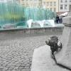 Rynek, xxxxx