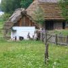 Sanok, fazi