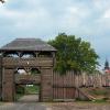 Wolin, ivona