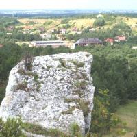Jura lato, Tadeusz Walkowicz
