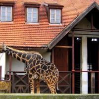 WroclawskieZOO, xxxxx