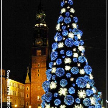 Świąteczny Wrocław - zdjęcie
