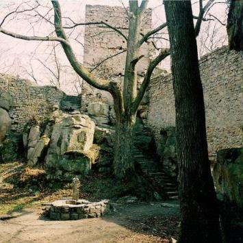 Zamek Bolczów w Janowicach Wielkich, Tadeusz Walkowicz