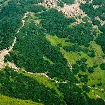 W górę na Giewont, w dół do Kuźnic, w górę Kondracka Kopa, Tadeusz Walkowicz