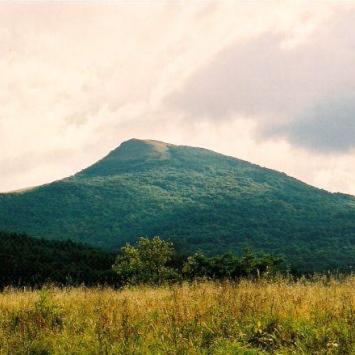Smerek - 1234m, Tadeusz Walkowicz