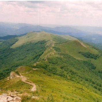 Panorama Bukowego Berda, Tadeusz Walkowicz