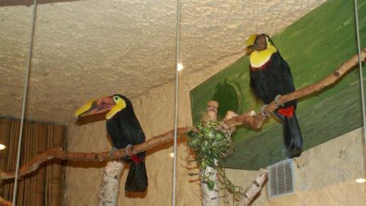 ZOO w Oliwie, Tadeusz Walkowicz