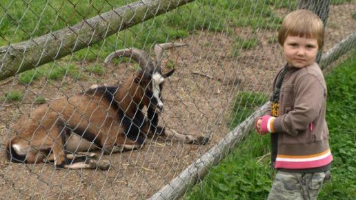 Mini ZOO w Wambierzycach, Tadeusz Walkowicz