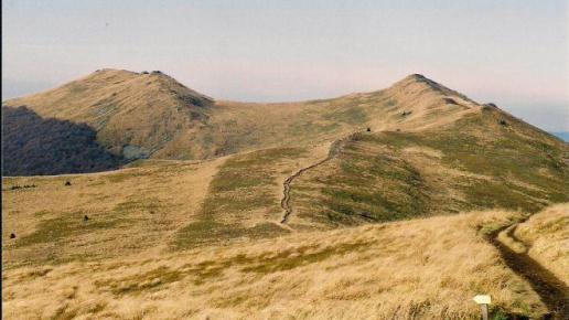 Szlak do Chatki Puchatka, Tadeusz Walkowicz