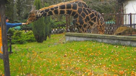 WroclawskieZOO, xxxxx