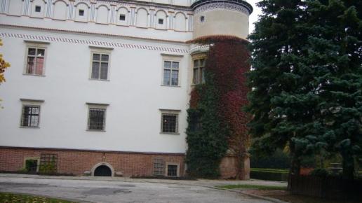 Baranów Sandomierski, fazi