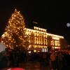 , Kinga