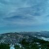 , Janusz K