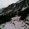 , Janusz K