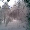 , Janusz K