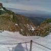 , Janusz K