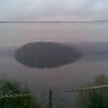 , Janusz K