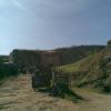 , Janusz K